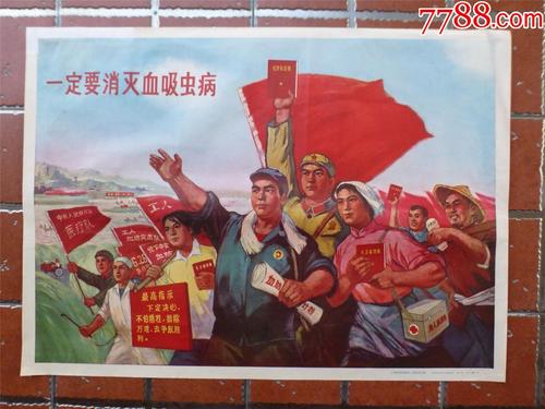 塞尔维亚驾照怎么买到